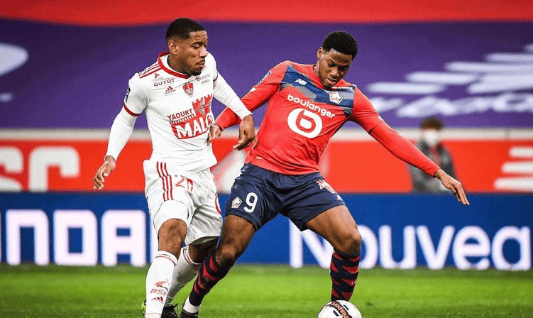 球迷可能会 球迷可能会